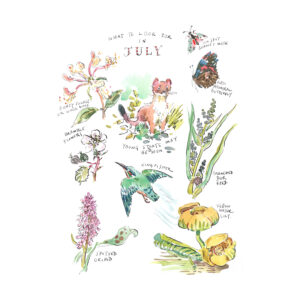 Print "What to look for in “July”