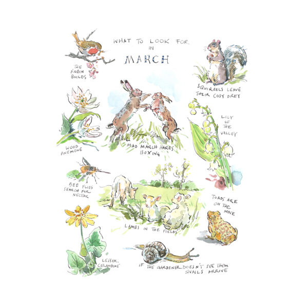 Greeting Card Pack “What to Look for…” - Image 4