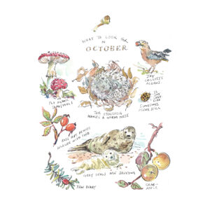 Print "What to look for in “October”
