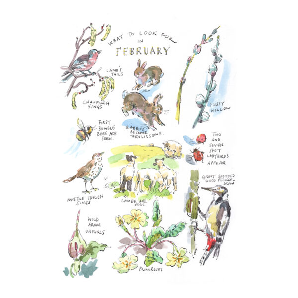 Greeting Card Pack “What to Look for…” - Image 3