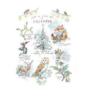 Print "What to look for in “December”