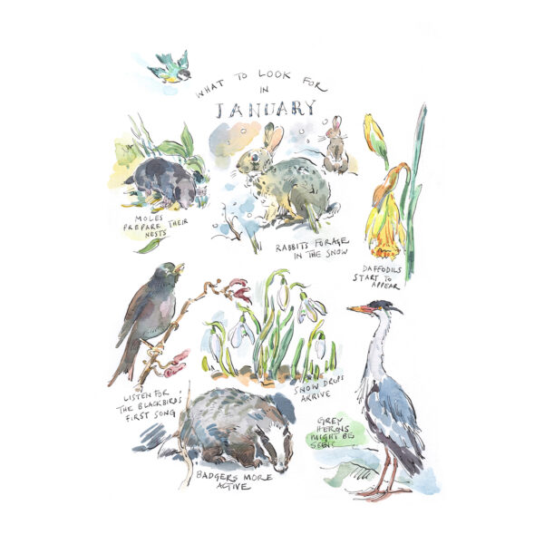 Greeting Card Pack “What to Look for…” - Image 2