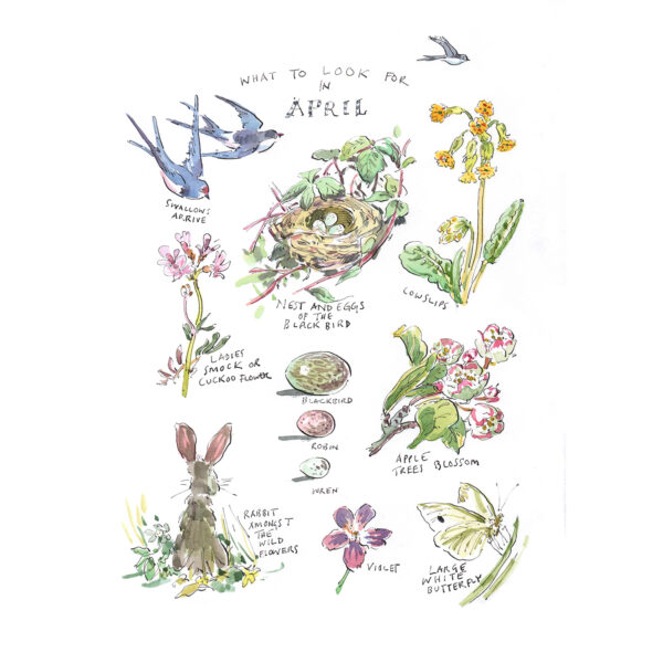 Greeting Card Pack “What to Look for…” - Image 5