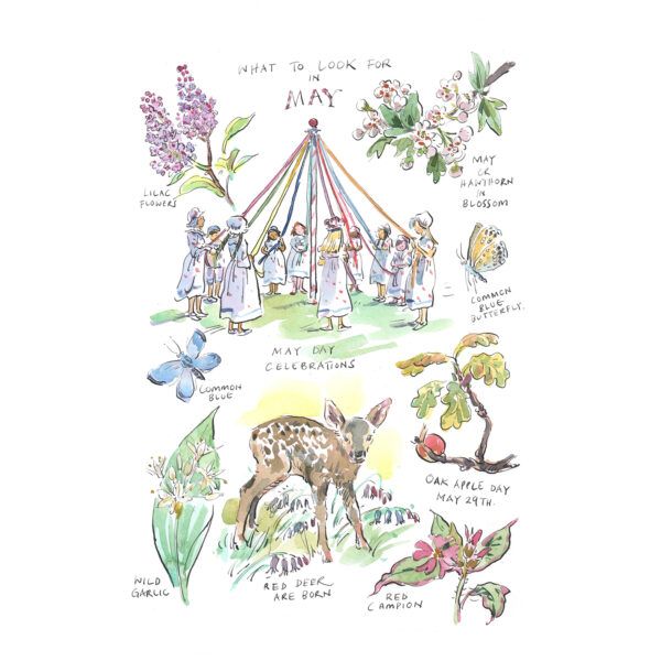 Greeting Card Pack “What to Look for…” - Image 6