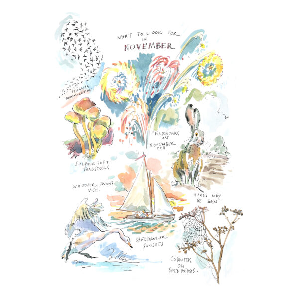 Greeting Card Pack “What to Look for…” - Image 12