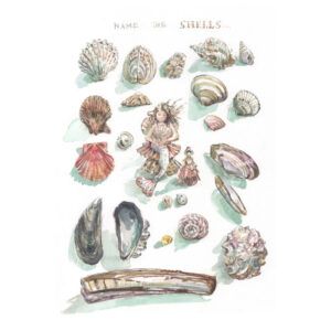 PRE-ORDER NEW PRINT “Name the Shells”