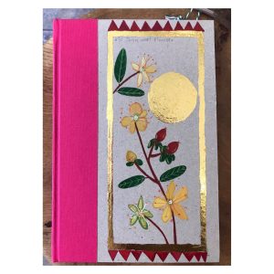 Unruled Journal  Hand painted medicinal flower St John Wort Flower