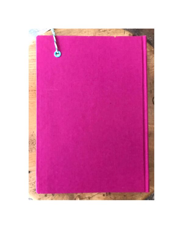 Unruled Journal  Hand painted medicinal flower Angelica - Image 3