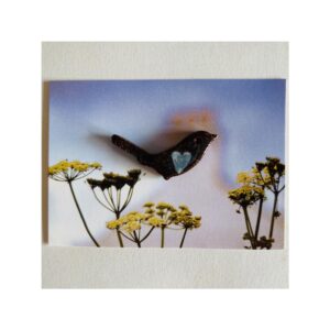 Bird Brooch No 14