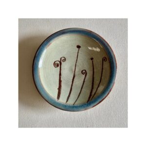 Tiny Wee Dish “Seedlings + blue rim”