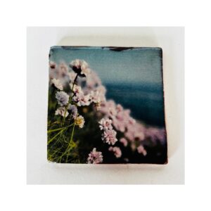 Ceramic Transfer Tile “Thrift Flowers on Cliff”