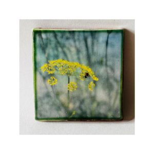 Square Tile 4 “Fennel + Bee”