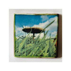 Square Tile 5 “Field Mushroom”