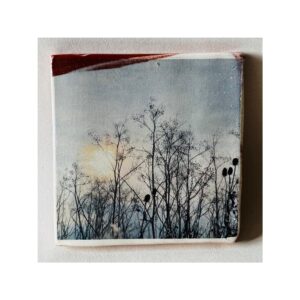 Square Tile 8 “Dry Cow Parsley + Teasles at Winchelsea Beach”