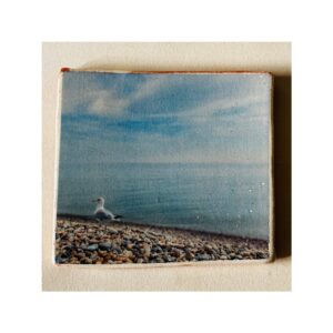 Tile “Seagull on Hastings pebbles”