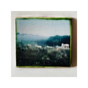 Tile “Sheep at Winchelsea”