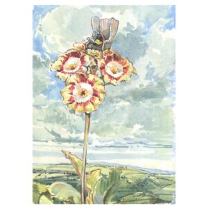 NEW PRE-ORDER PRINT “Bee reading on Auriculas”
