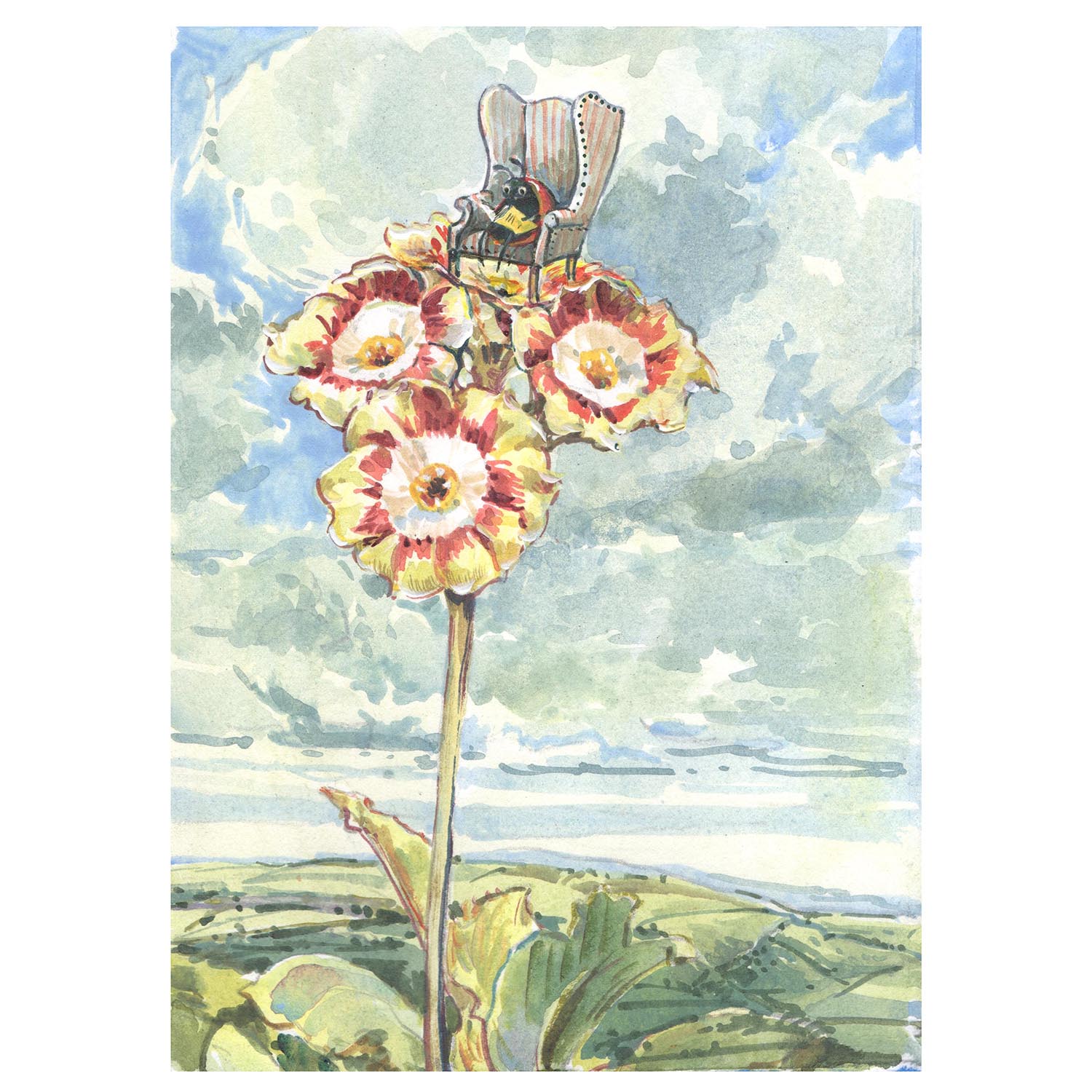 NEW PRE-ORDER PRINT “Bee reading on Auriculas”
