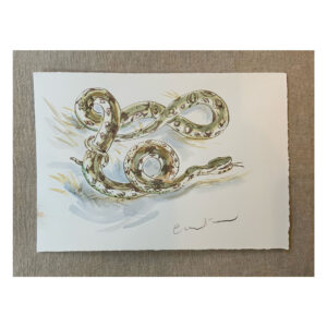 Original Watercolour Jungle Book “Indian Python”