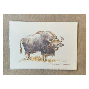 Original Watercolour “Jungle Book Rama”