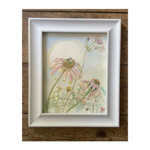 Original Framed Watercolour “Echinacea and Bee”