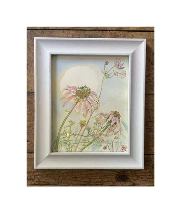 Original Framed Watercolour “Echinacea and Bee”