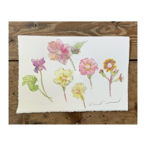 Original Watercolour “Flower Baby Study”