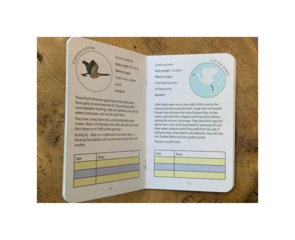 Birdwatching logbook “Seven Sisters” - Image 3