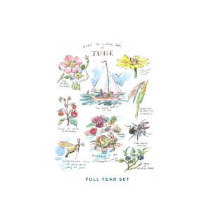 PRE-ORDER Full Set of “What to Look for….” Prints