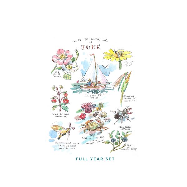 PRE-ORDER Full Set of “What to Look for….” Prints