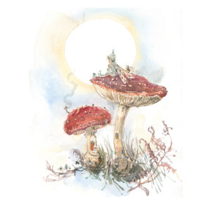 PRE-ORDER PRINT “Fairy and friends on toadstool houses”