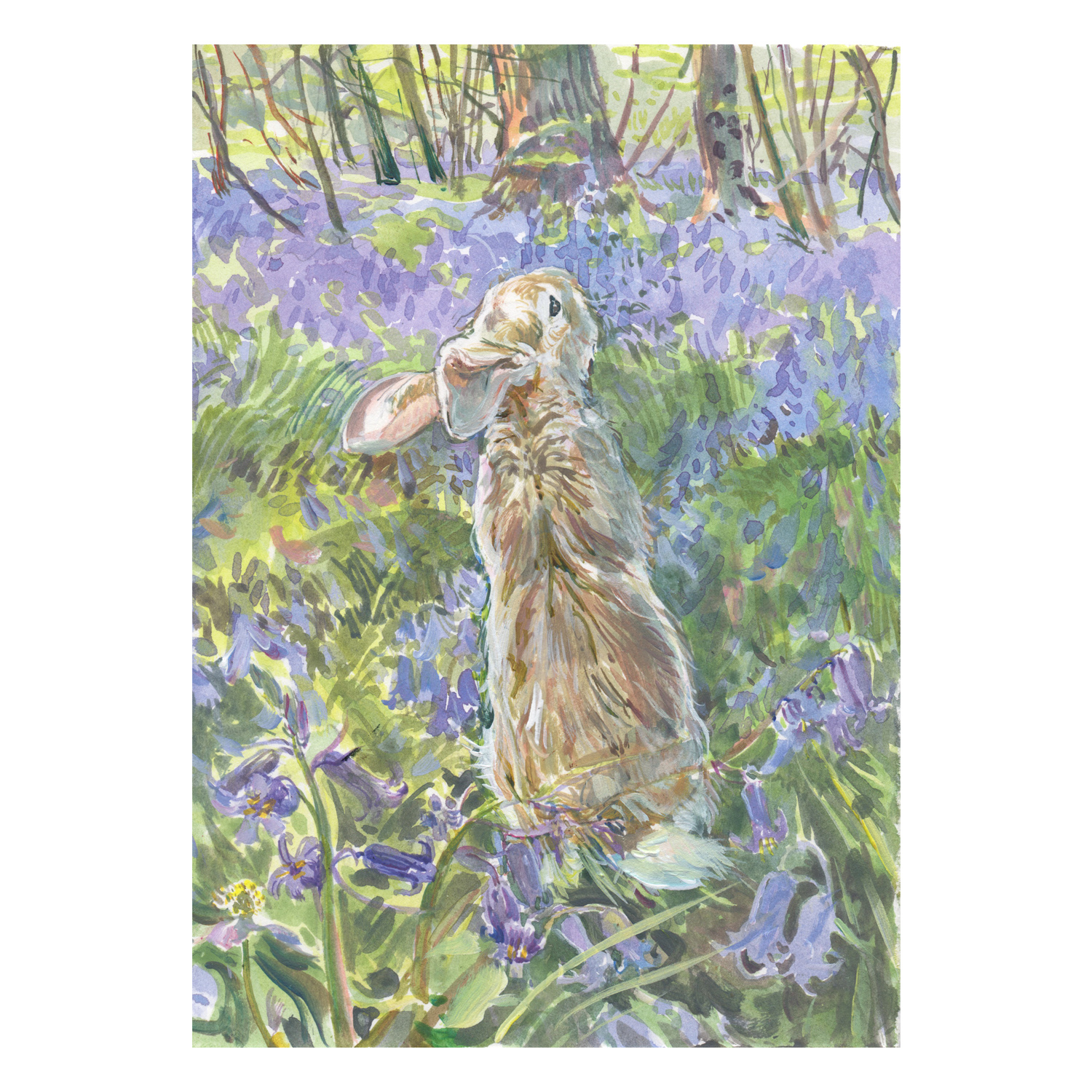 NEW PRE-ORDER PRINT “Rabbit in Bluebells”