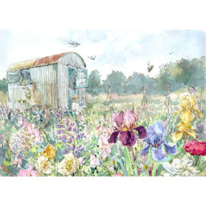 PRINT “Summer garden reading with Irises and Tin hut”
