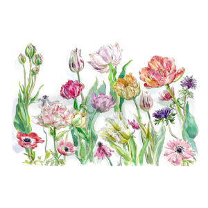 NEW PRE-ORDER PRINT “Tulips”