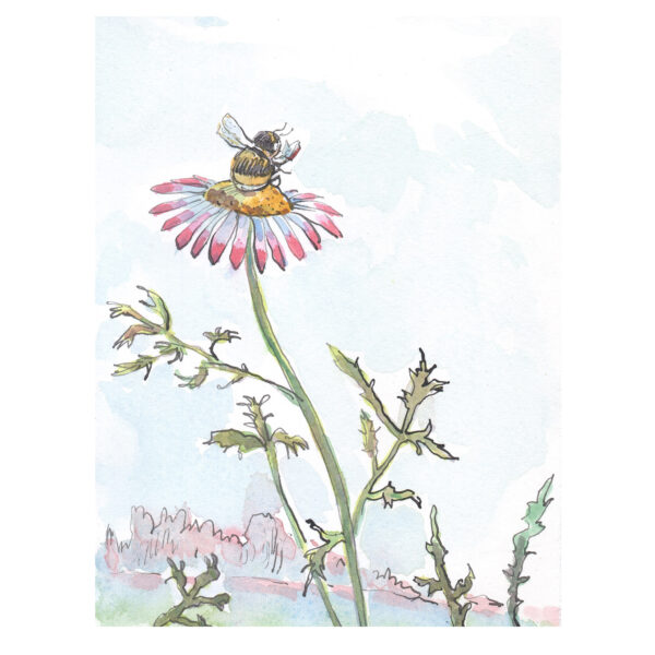 PRE-ORDER Print “Bee Reading on Flower”