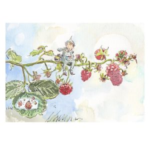 PRINT “Summer Pudding Elf”